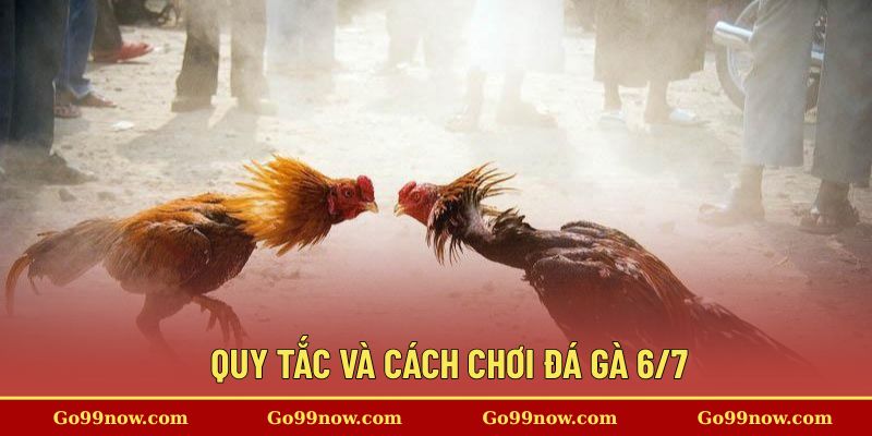Quy tắc và cách chơi đá gà chi tiết tại nền tảng 